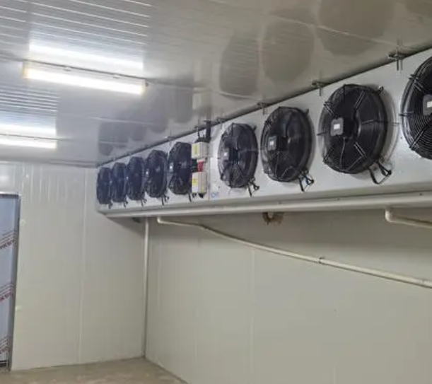 速凍冷庫的優點有哪些？_上海開冉制冷