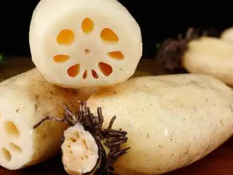 洪澤湖地區蓮藕冷庫設計要點:鎖住水鄉鮮韻