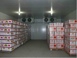 果蔬保鮮庫 果蔬保鮮庫