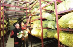 200平米果蔬冷庫，冷庫建造成本多少錢