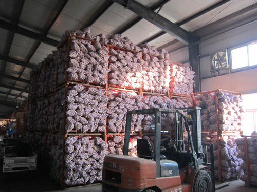 5000平米大蒜保鮮冷庫 5000平米大蒜保鮮冷庫