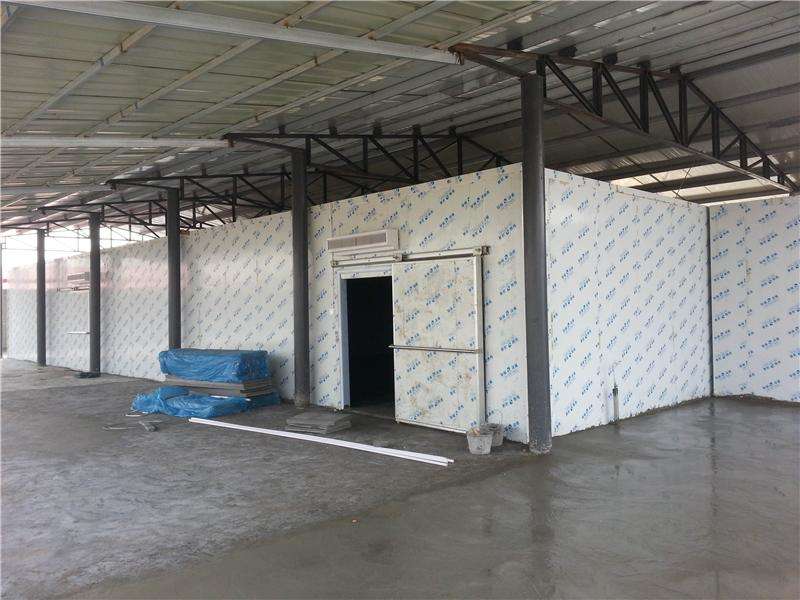 浙江建-60℃金槍魚超低溫冷庫，冷庫總價預算多少