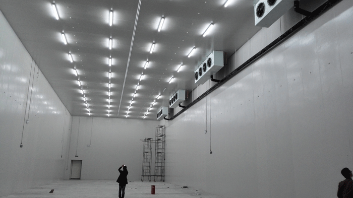 大型冷凍冷庫(kù)造價(jià)