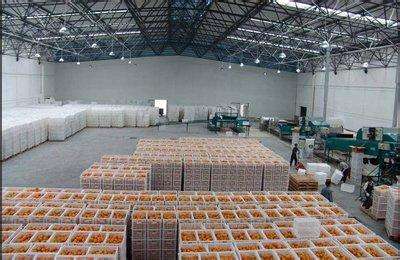 3000平米水果保鮮庫(kù)