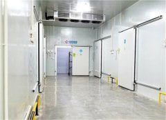 2020年冷庫值不值得投資？冷庫現狀如何？