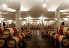 葡萄酒恒溫冷庫:紅酒儲存溫度是多少