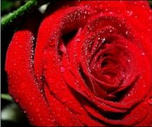 果蔬、鮮花氣調冷庫設計保鮮效果更好