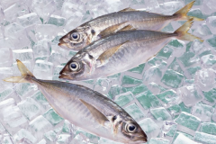 水產(chǎn)冷藏庫的主要用途和造價(jià)