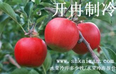 水果冷庫報價、一個水果冷庫多少錢