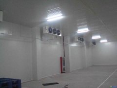 GSP醫(yī)療冷庫2-8℃冷庫建設報價,案例