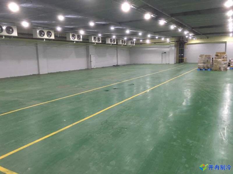 上海松江香車路299號(hào)瓜果保鮮庫(kù)建設(shè)案例