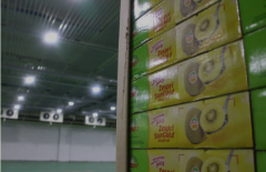 一般大型（蘋果、獼猴桃、火龍果）水果冷庫造價(jià)多少錢一立方？