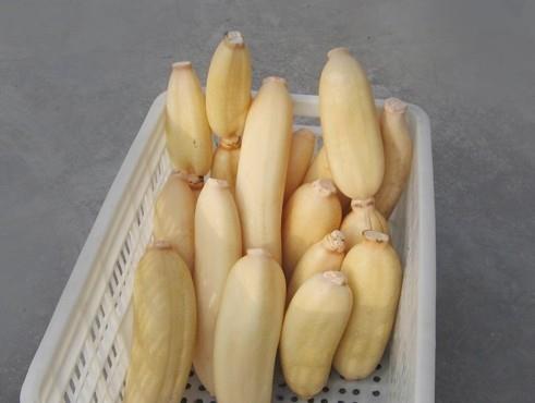 100噸的蓮藕怎么保鮮，蓮藕保鮮庫設(shè)計(jì)及造價(jià)