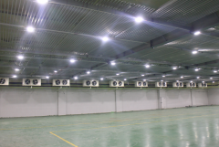 300噸西紅柿保鮮庫(kù)造價(jià)，西紅柿冷藏庫(kù)設(shè)計(jì)