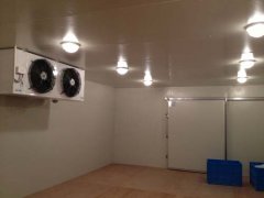 上海安裝冷庫(kù)公司,保鮮冷庫(kù)設(shè)計(jì),小型冷庫(kù)造價(jià)